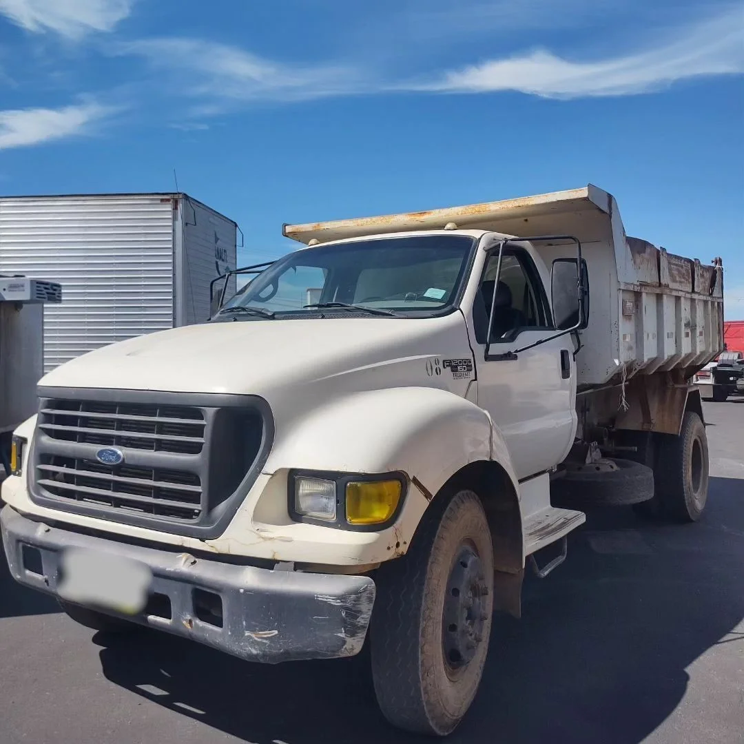 FORD F-12000 4X2 - FUNC.